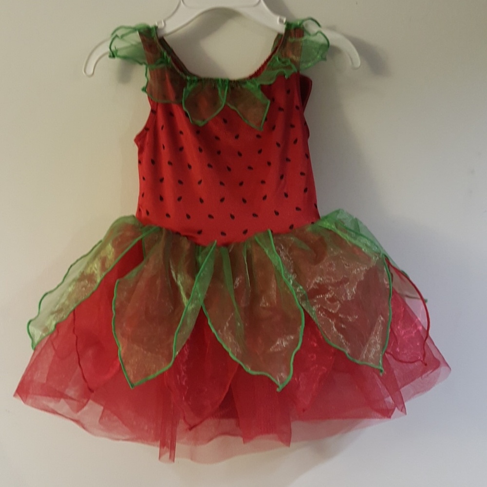 GYMBOREE DRESS UP OUTFIT/HALLOWEEN COSTUME SIZE 12